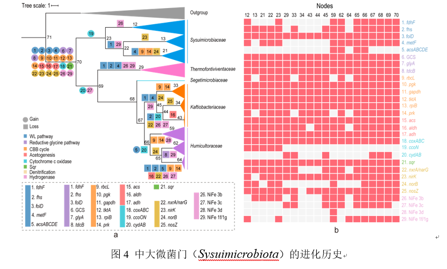 21D2706778AC53F489823FF079D_FFBF6422_25750
