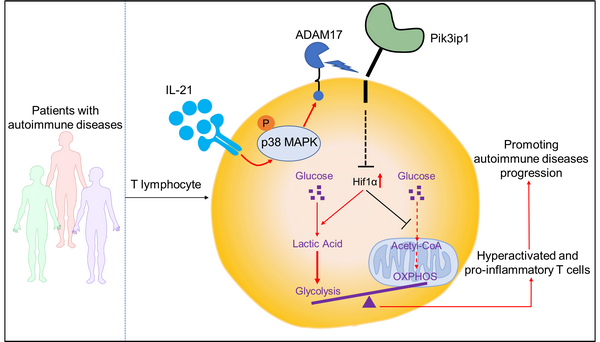 8B8A4BF44966A275B0B9C04572F_DD050B51_21161 8B8A4BF44966A275B0B9C04572F_DD050B51_21161