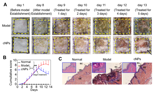 ��ҳ|ng������Ϸ�й����Źٷ���վ