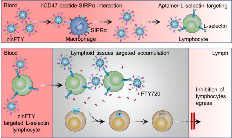 0CFF04BFF4A4DE376EAF35C7BD6_AD5DC296_11434 0CFF04BFF4A4DE376EAF35C7BD6_AD5DC296_11434