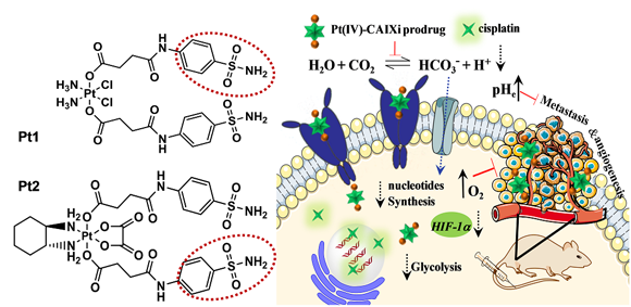 ��ҳ|ng������Ϸ�й����Źٷ���վ