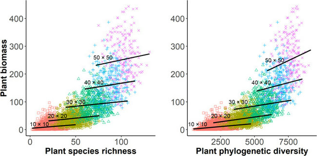 ��ҳ|ng������Ϸ�й����Źٷ���վ