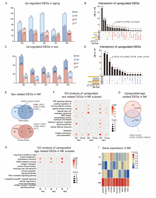 ��ҳ|ng������Ϸ�й����Źٷ���վ
