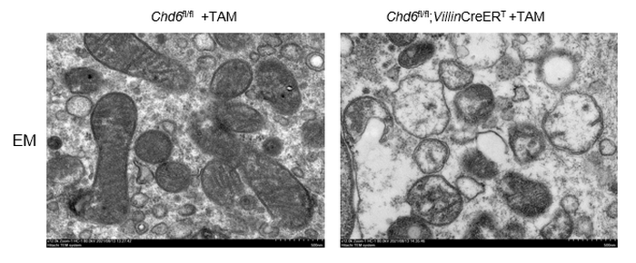 D8FC1D3377E892E8D1EFE3066B8_9FBDDE53_2E8A6 D8FC1D3377E892E8D1EFE3066B8_9FBDDE53_2E8A6