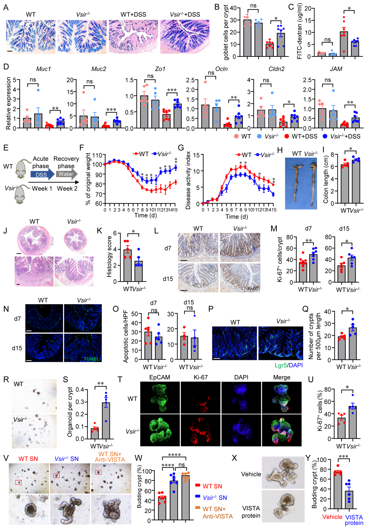 2B6BDBA26B4AE88572EE8BC4F26_84877C23_194F6B