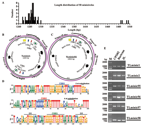 ��ҳ|ng������Ϸ�й����Źٷ���վ