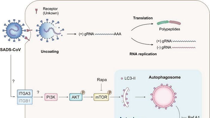 ��ҳ|ng������Ϸ�й����Źٷ���վ