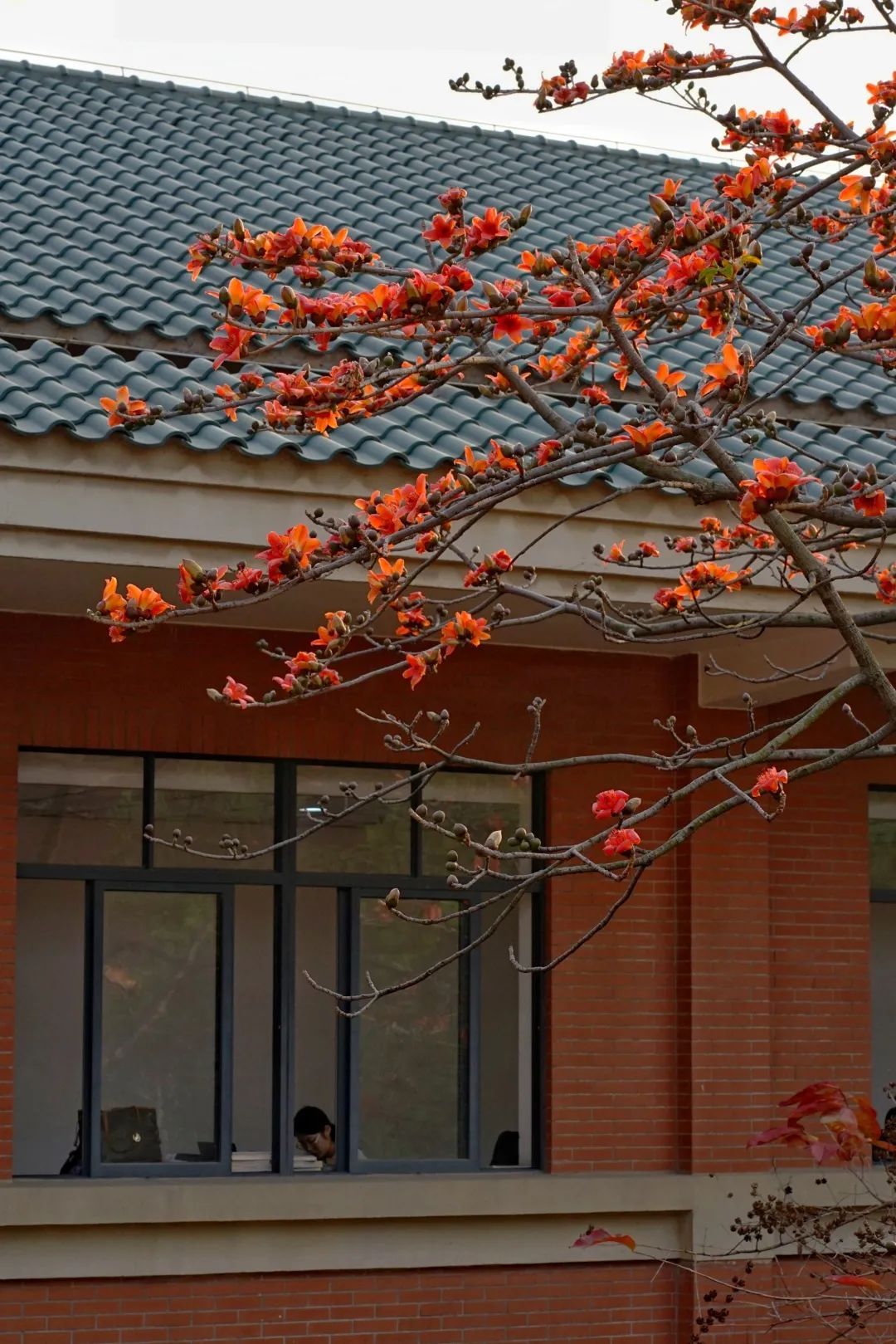 3170571269B6B20AF809176B6FF_09B2503E_430A2 ͼƬ