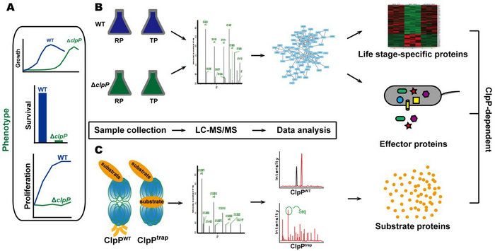 2DC6426B12311069CFC3690D873_C3394DE0_A9A9 2DC6426B12311069CFC3690D873_C3394DE0_A9A9