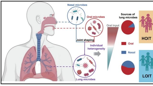 ��ҳ|ng������Ϸ�й����Źٷ���վ