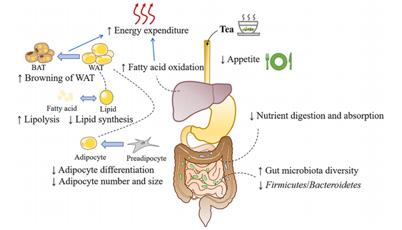 ��ҳ|ng������Ϸ�й����Źٷ���վ
