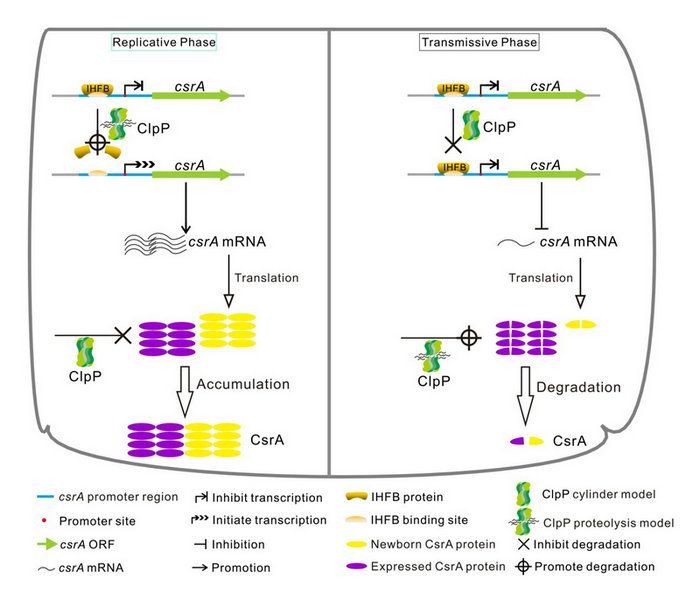 E449A979AD39410EF5563F3B0CE_703125BE_DEAC E449A979AD39410EF5563F3B0CE_703125BE_DEAC