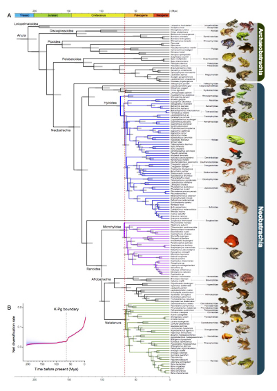 ��ҳ|ng������Ϸ�й����Źٷ���վ