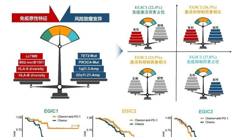 ��ҳ|ng������Ϸ�й����Źٷ���վ