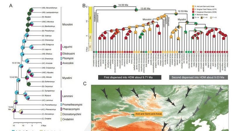 ��ҳ|ng������Ϸ�й����Źٷ���վ