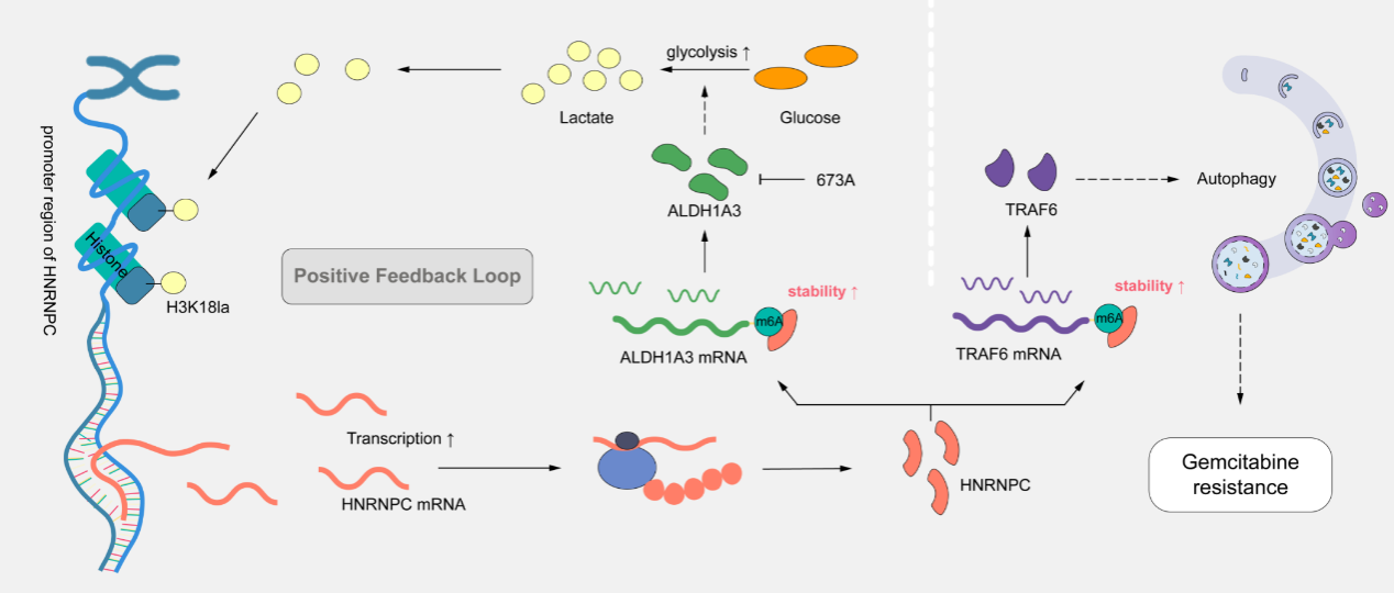 ��ҳ|ng������Ϸ�й����Źٷ���վ