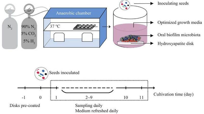 ��ҳ|ng������Ϸ�й����Źٷ���վ