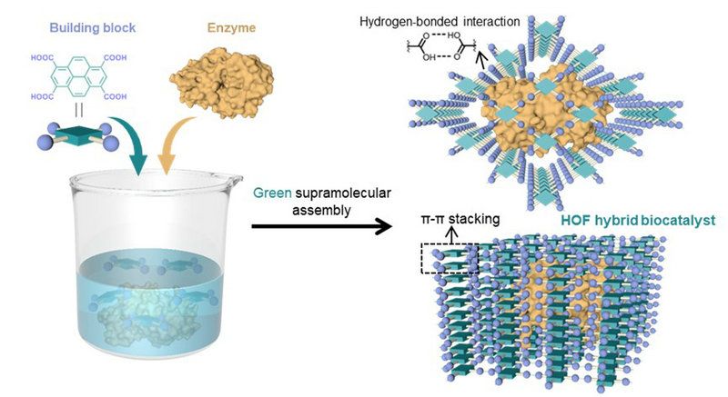 85730250C58B248058E8C243BC0_82EFD32B_DF76 85730250C58B248058E8C243BC0_82EFD32B_DF76