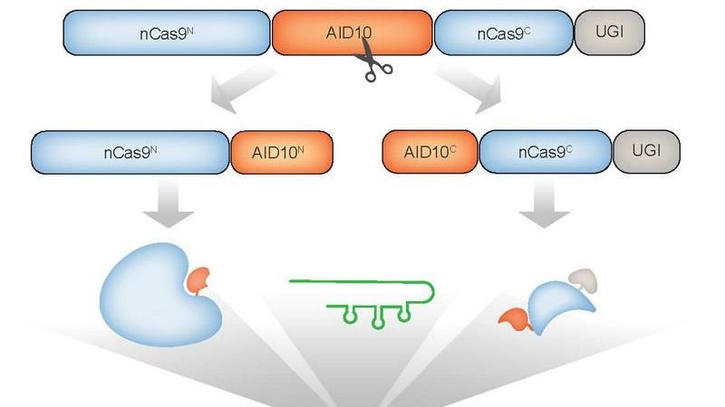 ��ҳ|ng������Ϸ�й����Źٷ���վ