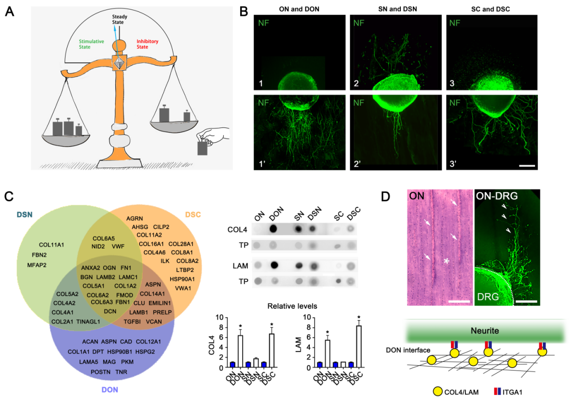 ��ҳ|ng������Ϸ�й����Źٷ���վ