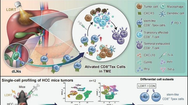 ��ҳ|ng������Ϸ�й����Źٷ���վ