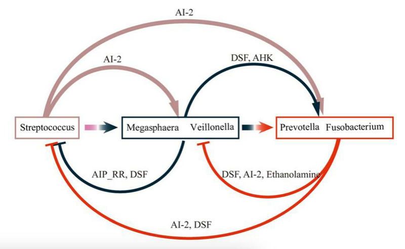 2522ACB2FAE2874597EFBA114B6_016CB40B_8EA1