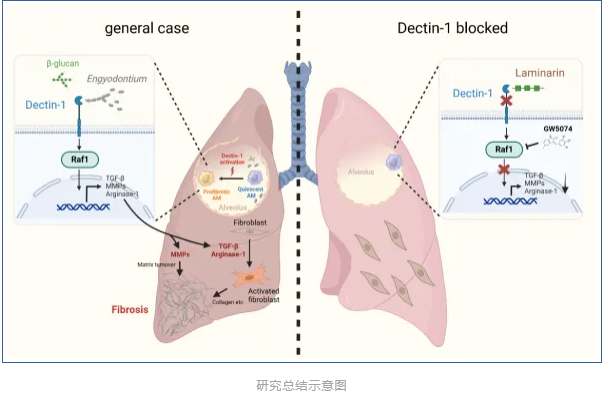 40317ECC84711AF75D7ECA24FA3_CFDF20DB_2BA09