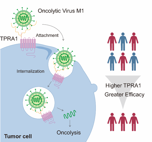 ��ҳ|ng������Ϸ�й����Źٷ���վ