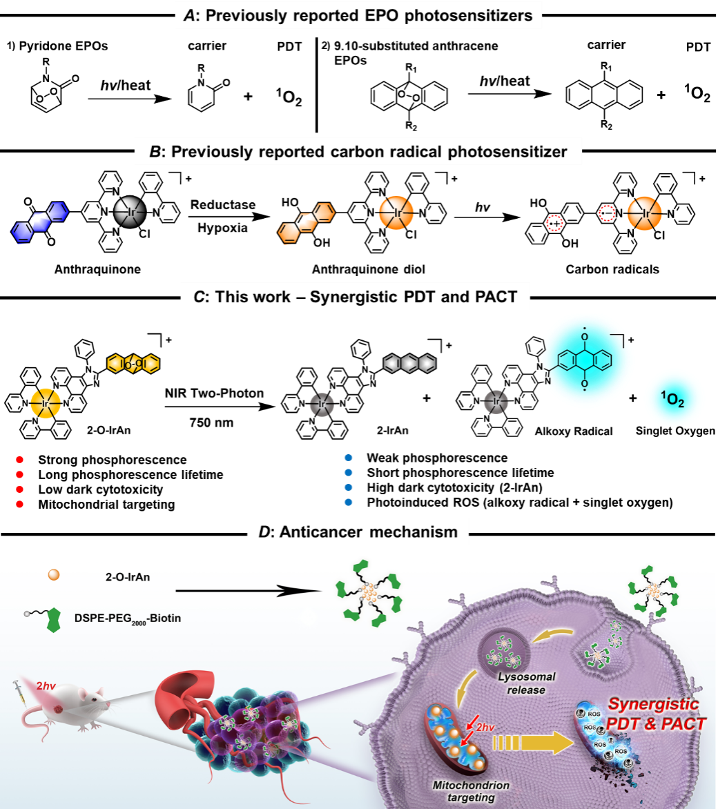 ��ҳ|ng������Ϸ�й����Źٷ���վ