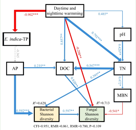F323A374ED27B0347AE7648DC08_1C9EA25B_16DBE