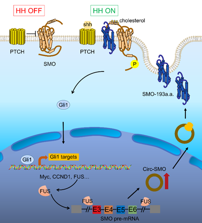 ��ҳ|ng������Ϸ�й����Źٷ���վ