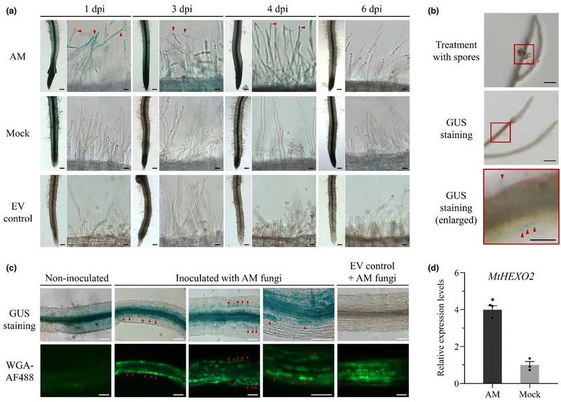 F7F61F7113EC7F2F4AF8EED4A66_CF2FBB1E_142B4 F7F61F7113EC7F2F4AF8EED4A66_CF2FBB1E_142B4