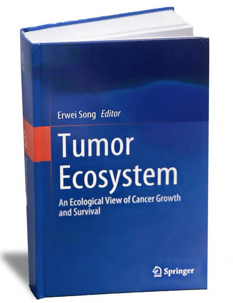 73B056A45A8B3D075326929D5AF_15121900_101E3