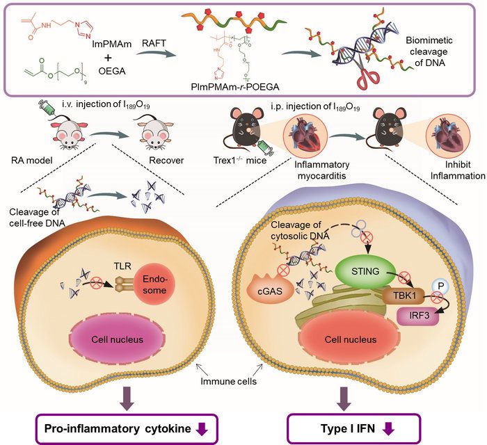 F3699BEE57FA2CCE40D1CB6A2E0_50D9B2EC_1617A