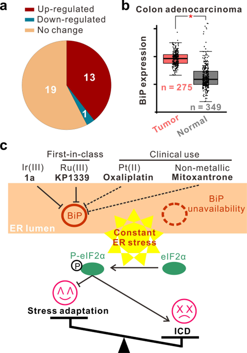 92522BC4FB9B7CFCD68A8B5480D_3530A59D_2900B