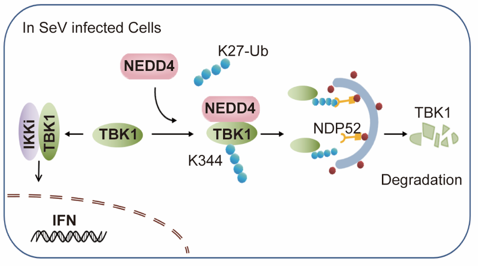 ��ҳ|ng������Ϸ�й����Źٷ���վ