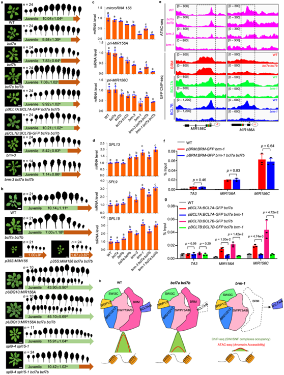 ��ҳ|ng������Ϸ�й����Źٷ���վ