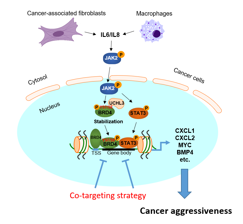 ��ҳ|ng������Ϸ�й����Źٷ���վ