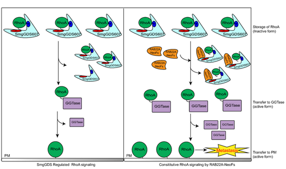 ��ҳ|ng������Ϸ�й����Źٷ���վ