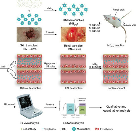 ��ҳ|ng������Ϸ�й����Źٷ���վ