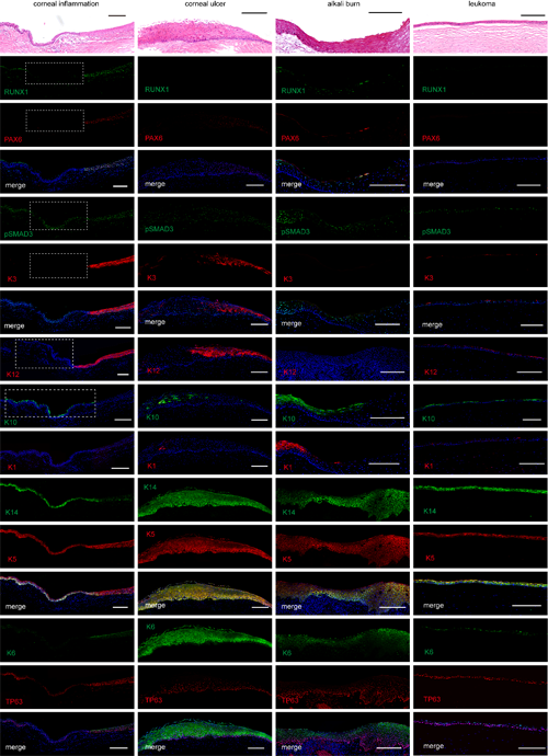 ��ҳ|ng������Ϸ�й����Źٷ���վ