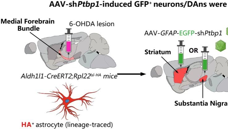 ��ҳ|ng������Ϸ�й����Źٷ���վ