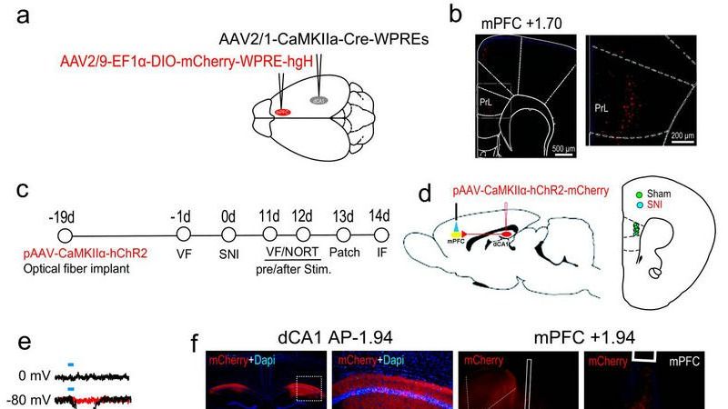 ��ҳ|ng������Ϸ�й����Źٷ���վ