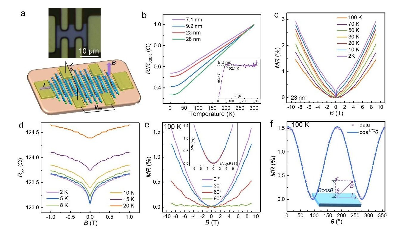 82A7FE1EA3B8076DDF6841FDC11_42DAE09C_25CCC