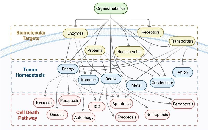 B1F5ADE2D741023A24848E0BF95_EFE5C036_126AE