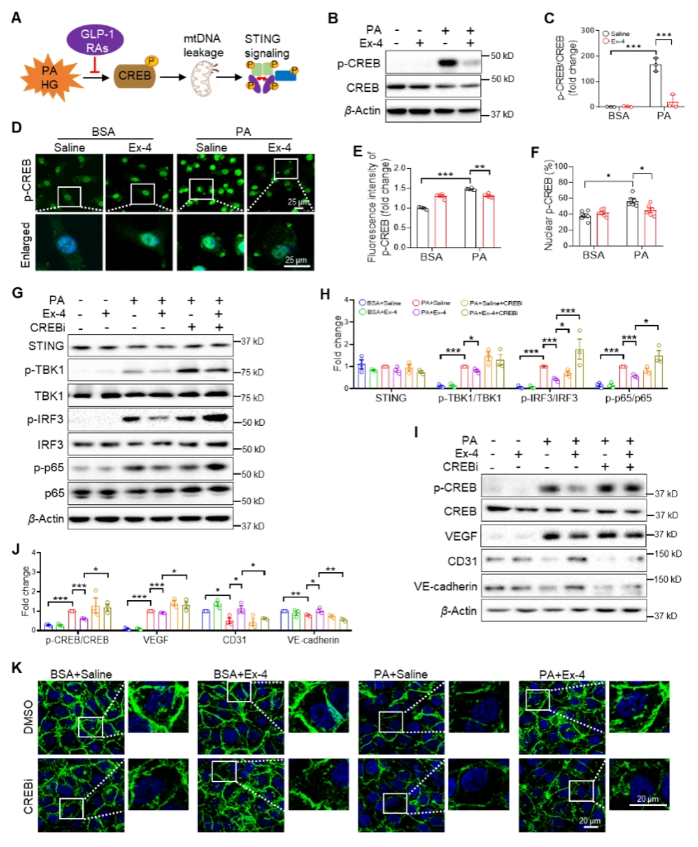 0C5D49E91E55B7EA354B64370D5_A051BA1F_DC589