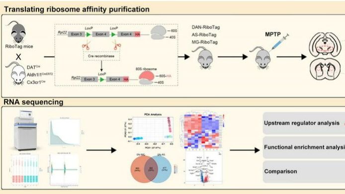 ��ҳ|ng������Ϸ�й����Źٷ���վ