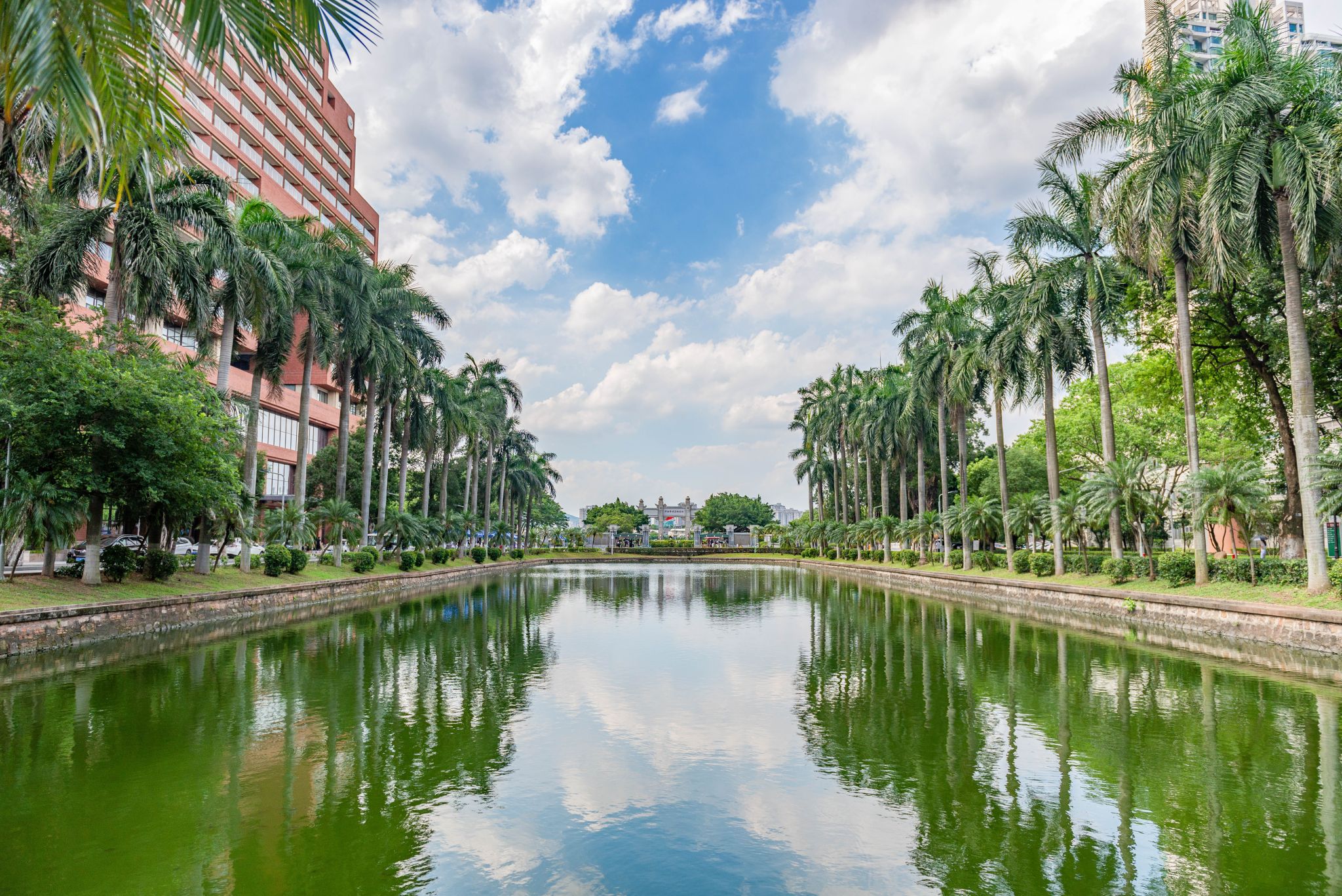 5AF5F97B699920B95690DD3E656_5A19519D_A673B