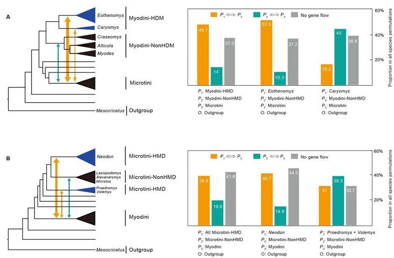 92D09F56A38FE53D920D03CF523_B4EC7FD9_F4A1 92D09F56A38FE53D920D03CF523_B4EC7FD9_F4A1