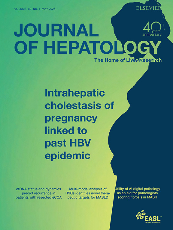 8DEE4D58D20D5658445626B9C85_30D87D4F_90A04